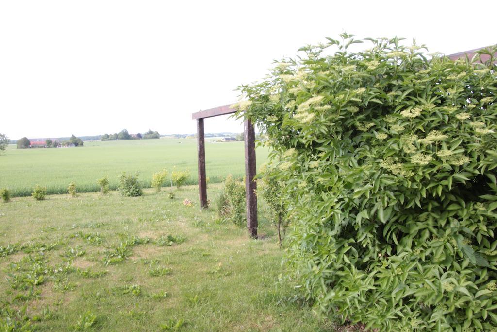 Hanksville Farm Aamiaismajoitus 2*